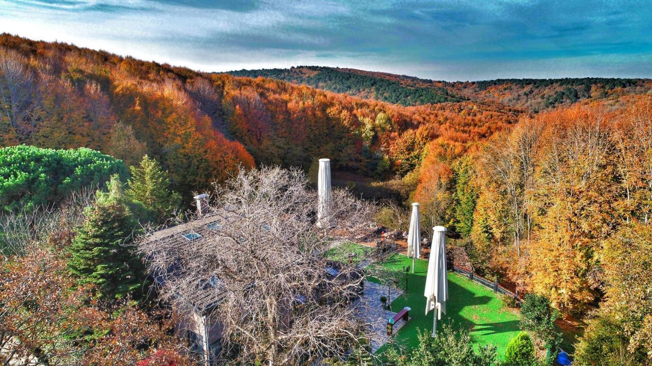 Villa Polonez Стамбул Экстерьер фото